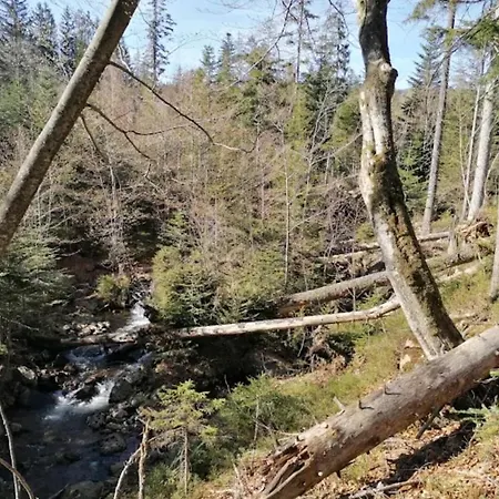 Apartment Haus Daxberg Idyllisch Gelegen Im Bayerischen Wald *