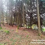 Kremser Bei Spiegelau *