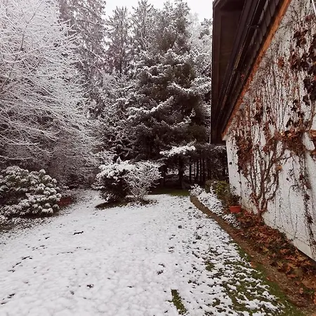 Kremser Bei Spiegelau Apartment Eppenschlag